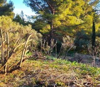  Terrain � vendre 442 m�