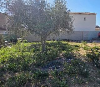  Terrain 325 m� La crau