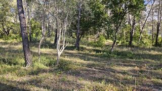  Terrain 1409 m� Bagnols-en-for�t