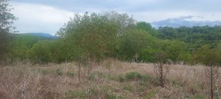  Terrain � vendre 509 m�