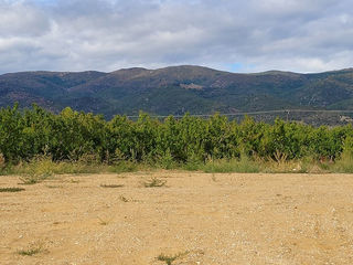  Terrain � vendre 343 m�