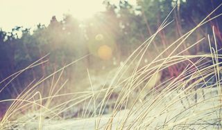  Maison � vendre 5 pi�ces 132 m�