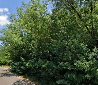  Maison � vendre 4 pi�ces 131 m�