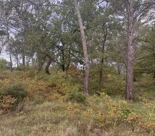  Terrain � vendre 426 m�