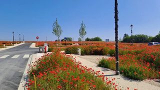  Terrain � vendre 266 m�