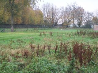  Maison � vendre 7 pi�ces 124 m�