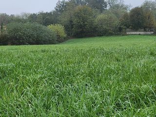  Maison 5 pi�ces 103 m� Bourg-saint-christophe