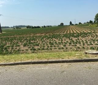  Maison � vendre 6 pi�ces 125 m�