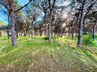  Terrain � vendre 548 m�