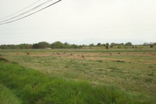  Maison � vendre 3 pi�ces 50 m�