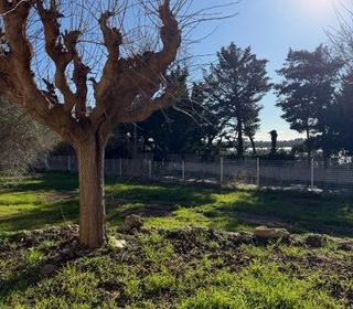  Terrain � vendre 901 m�