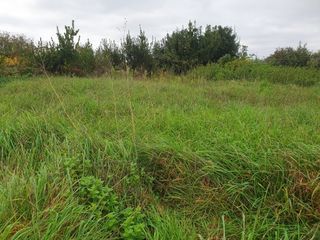  Terrain � vendre 1050 m�