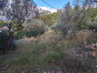  Terrain � vendre 1005 m�