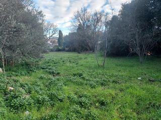  Terrain � vendre 970 m�