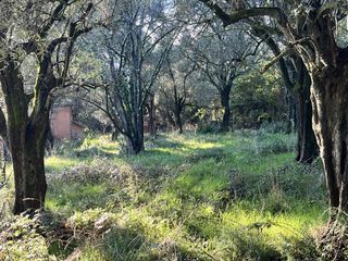  Terrain � vendre 800 m�