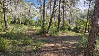  Maison 3 pi�ces 90 m� Bagnols-en-for�t