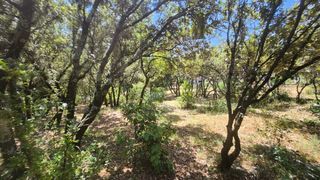  Terrain � vendre 1131 m�