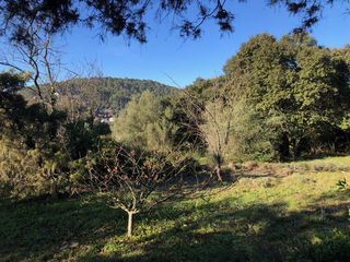  Terrain 870 m� Carnoules