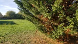  Terrain � vendre 600 m�