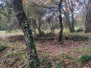  Terrain � vendre 1882 m�