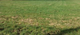  Terrain � vendre 500 m�