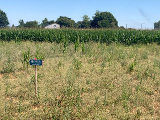  Terrain � vendre 630 m�