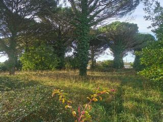  Terrain � vendre 1020 m�