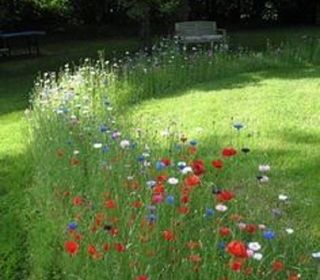  Maison 7 pi�ces 150 m� Sorigny