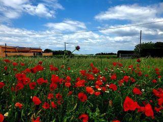  Maison � vendre 4 pi�ces 85 m�