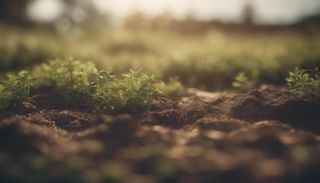  Maison � vendre 6 pi�ces 121 m�