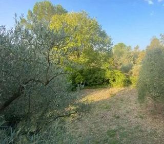  Maison � vendre 3 pi�ces 75 m�