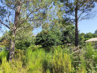  Terrain � vendre 750 m�