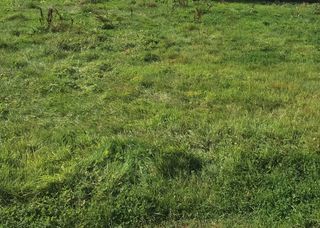  Terrain � vendre 720 m�