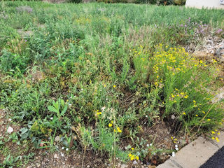  Maison 5 pi�ces 125 m� Millas