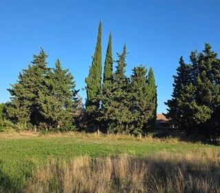  Maison 4 pi�ces 88 m� Istres