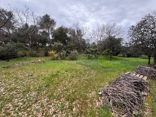  Terrain � vendre 603 m�