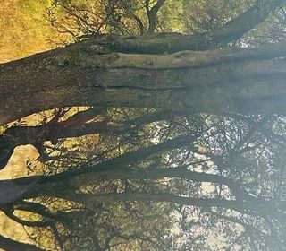  Terrain � vendre 769 m�