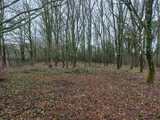  Terrain � vendre 2000 m�