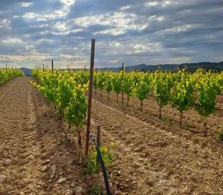  Terrain � vendre 250 m�