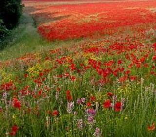  Maison � vendre 4 pi�ces 83 m�