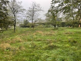  Maison 5 pi�ces 145 m� Saint-m�dard-en-jalles