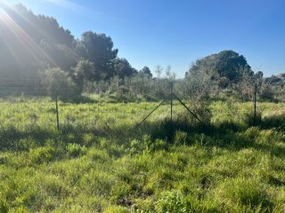  Terrain � vendre 202 m�