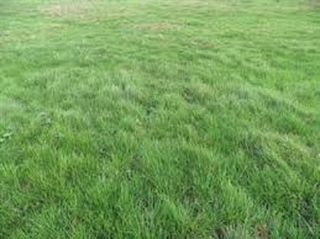  Terrain � vendre 395 m�