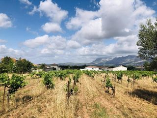  Terrain � vendre 501 m�