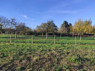  Maison � vendre 4 pi�ces 71 m�