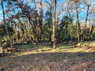  Terrain 1000 m� Camps-la-source