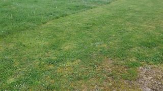  Terrain � vendre 365 m�