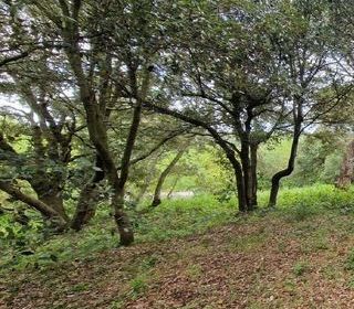  Terrain � vendre 2510 m�