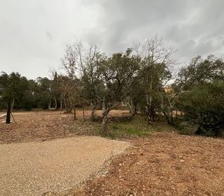  Terrain � vendre 600 m�