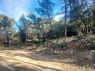  Terrain � vendre 964 m�